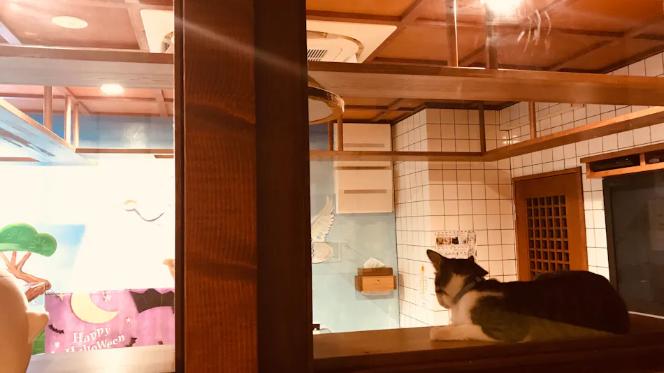Neko Bathhouse & Neko Inn: Rescue Cat Cafe Neko Republic Osaka