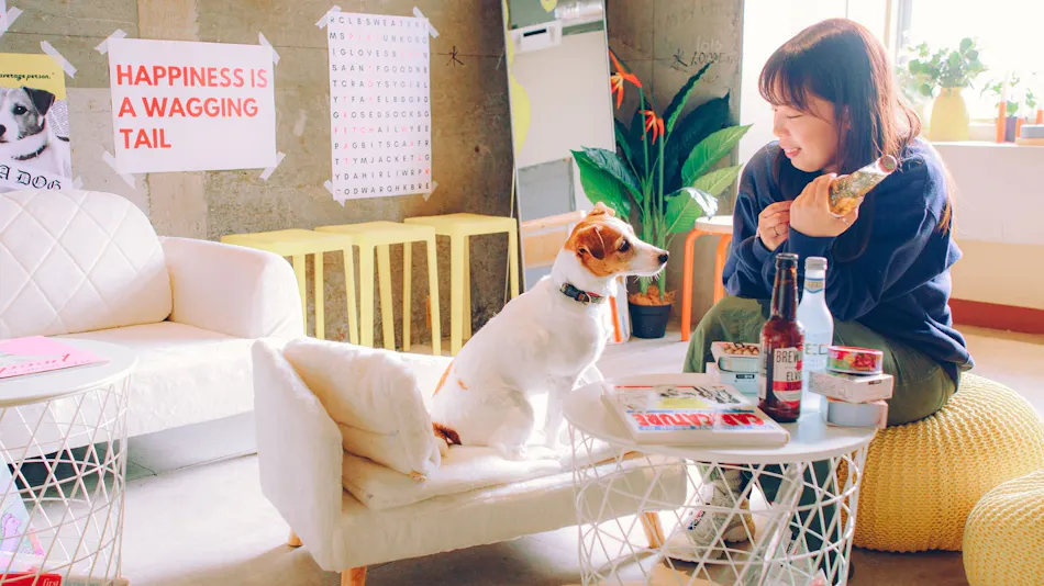 Outdoor Resort 'ETOWA KISARAZU' Surrounded by Nostalgia and Trees