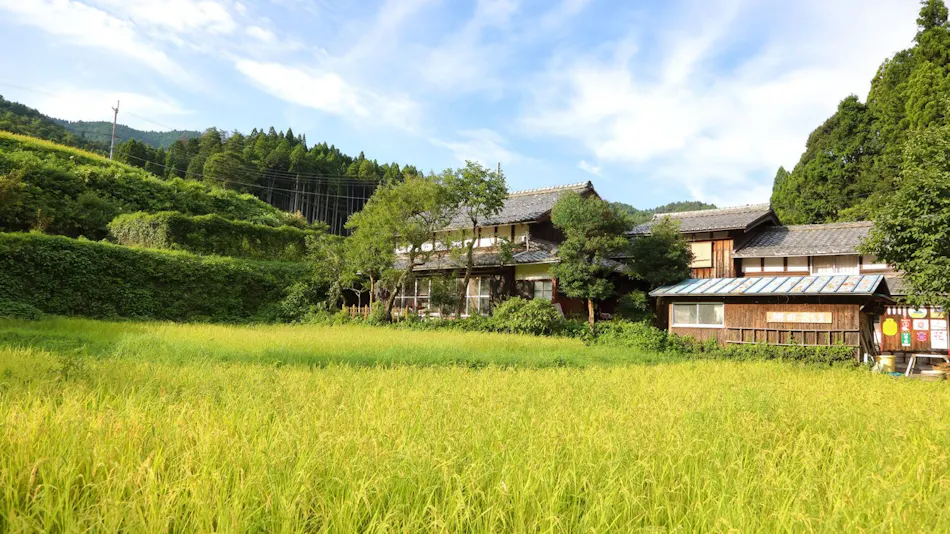 Tanada House