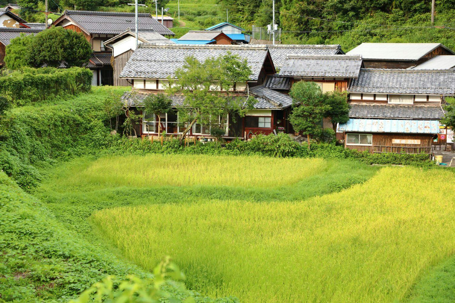 棚田ハウス&nbsp;施設全景
