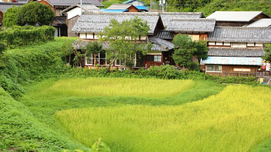 Tanada House