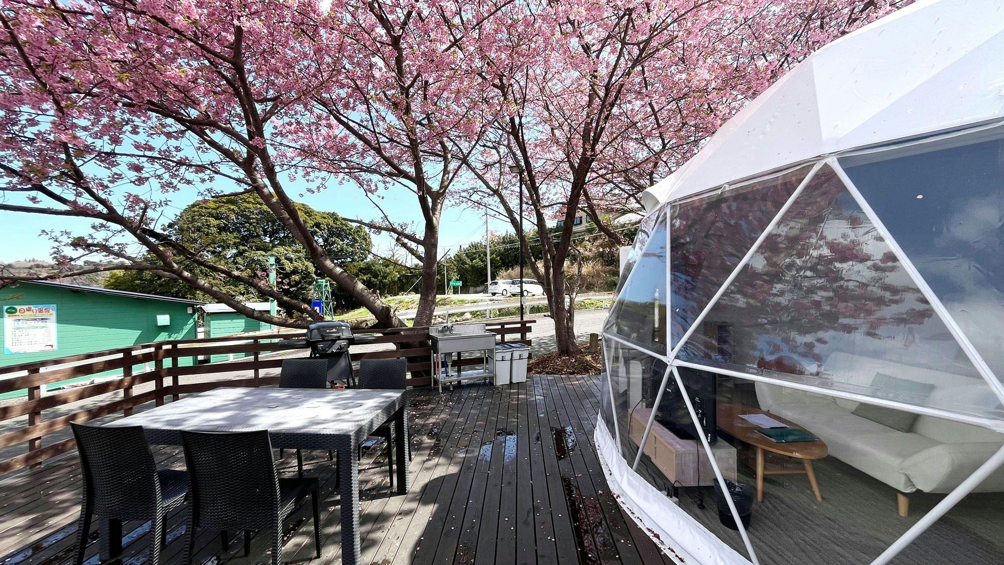 ห้องพัก◆บรรยากาศภายนอกของแกลมปิ้งฤดูใบไม้ผลิ KIRA*