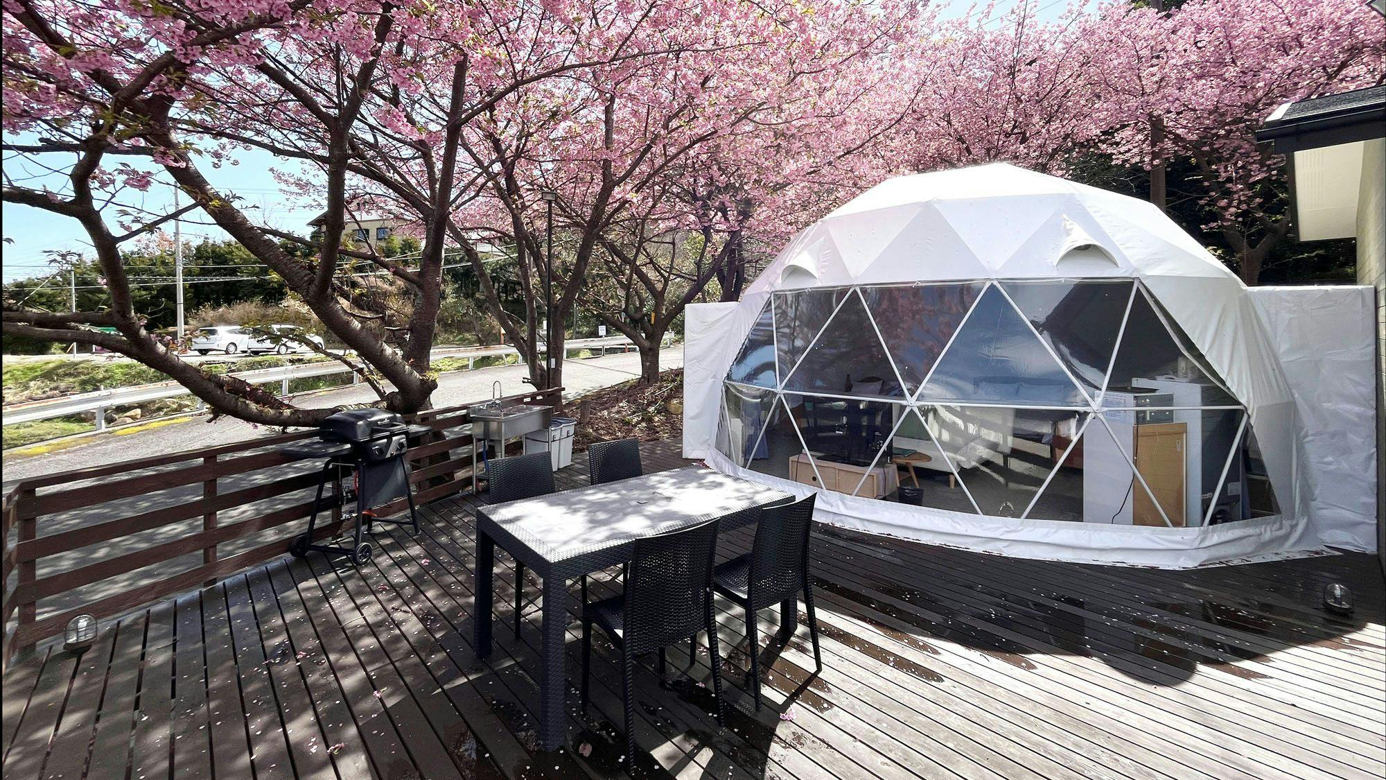 ห้องพัก◆บรรยากาศภายนอกของแกลมปิ้งฤดูใบไม้ผลิ KIRA*