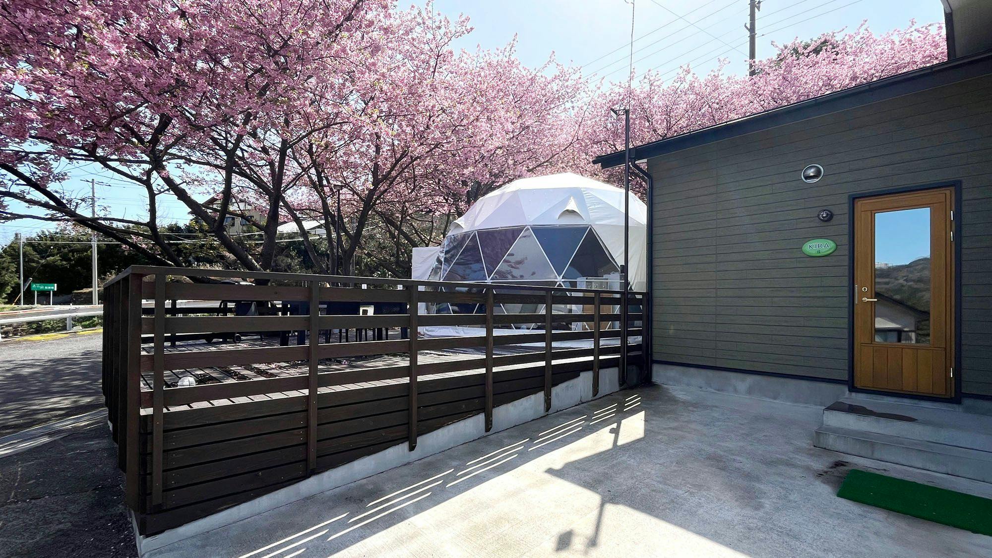 ห้องพัก◆บรรยากาศภายนอกของแกลมปิ้งฤดูใบไม้ผลิ KIRA*