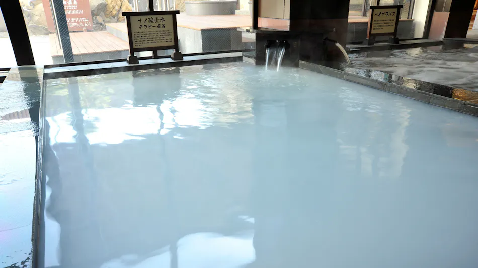 Nara Plaza Hotel