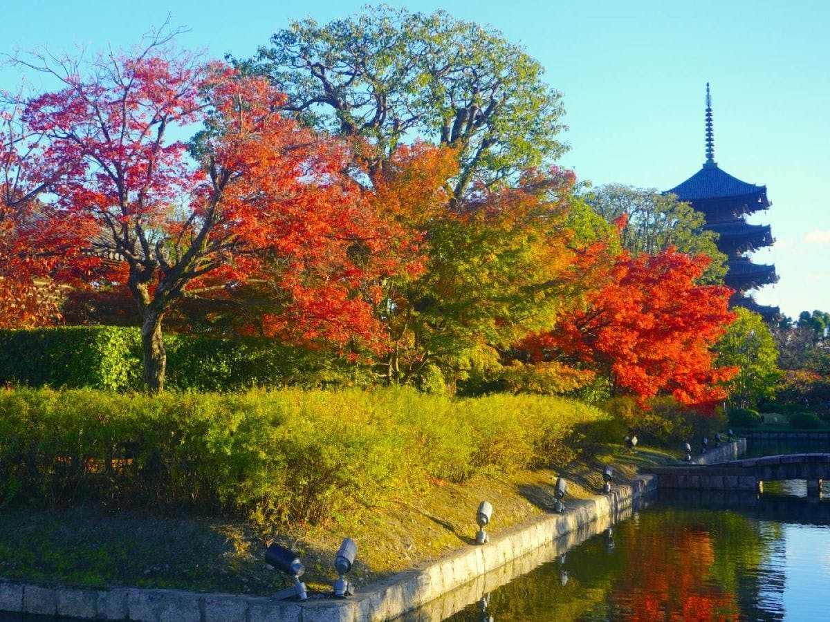 【สถานที่ท่องเที่ยวใกล้เคียง】เดินจากสิ่งอำนวยความสะดวกประมาณ 7 นาที วัดโทจิ