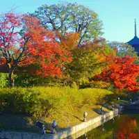 【สถานที่ท่องเที่ยวใกล้เคียง】เดินจากสิ่งอำนวยความสะดวกประมาณ 7 นาที วัดโทจิ