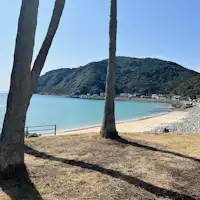 ต้นไม้สัญลักษณ์สามต้นที่ทางเข้ายูอินโนริ