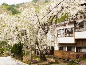 湯滝の宿　西屋