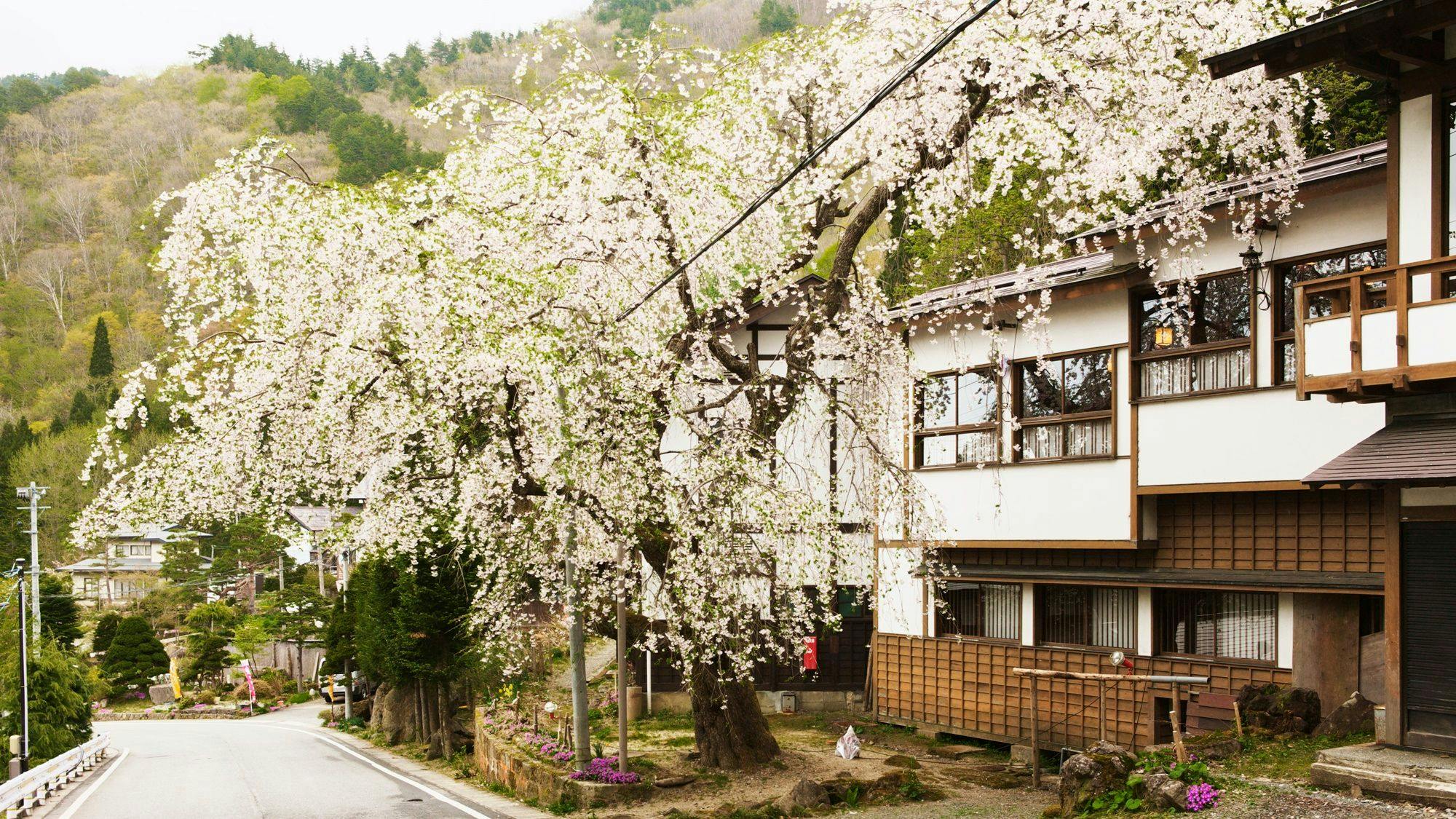Yutaki Inn Nishiya