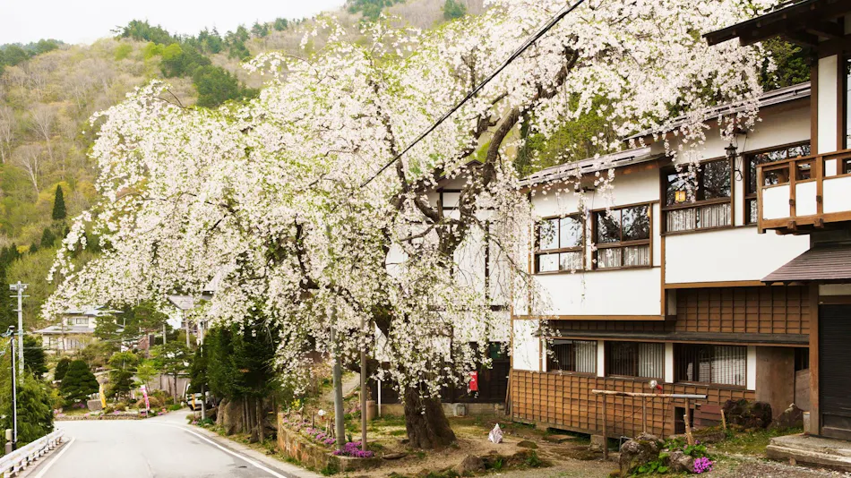Yutaki Inn Nishiya