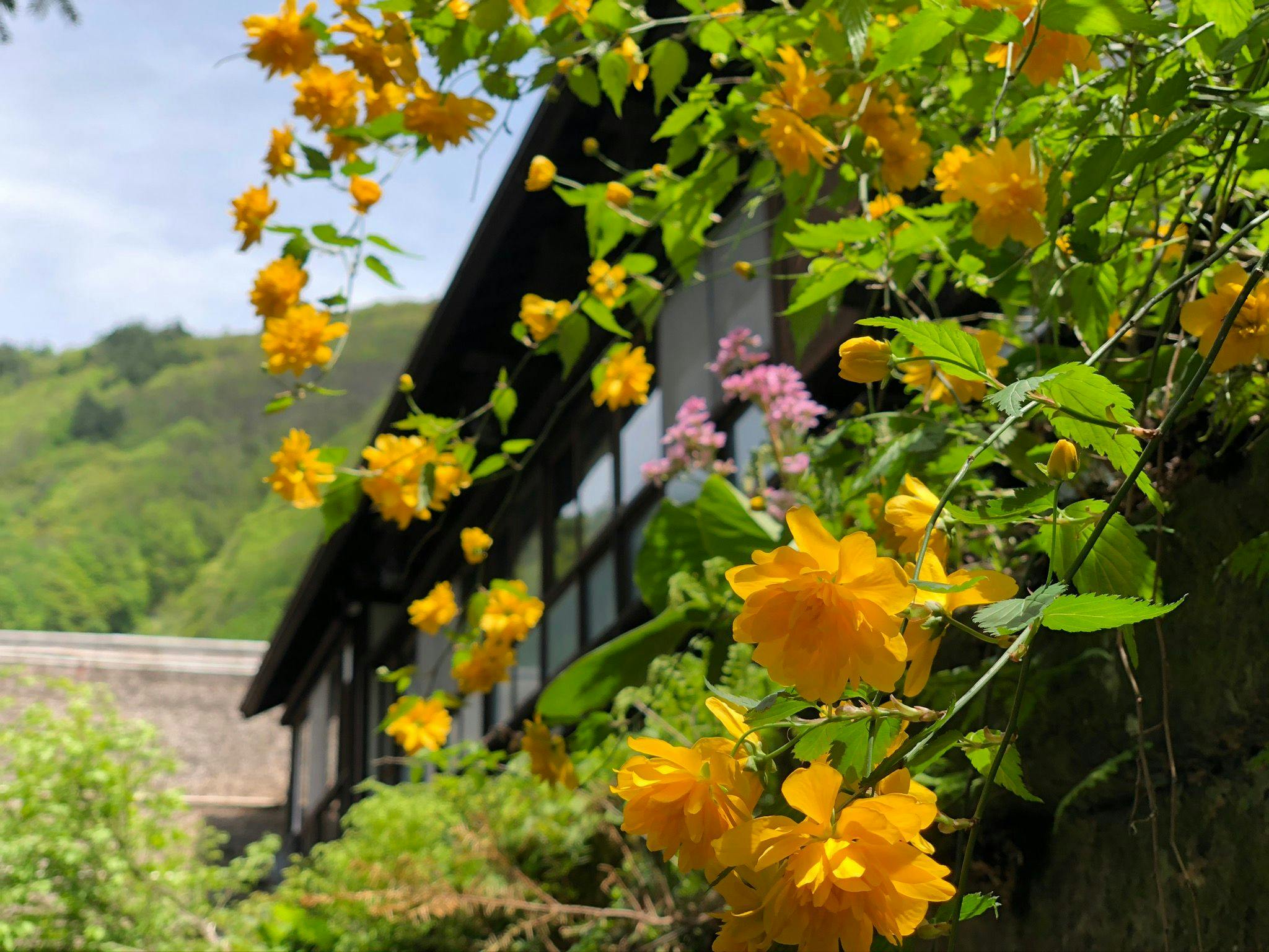 Yutaki Inn Nishiya