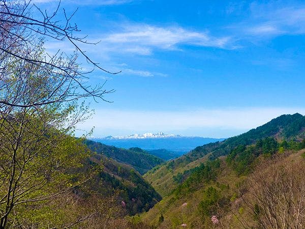 ทิวทัศน์ที่มองจากทางเดิน