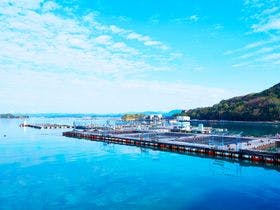 とれとれヴィレッジ