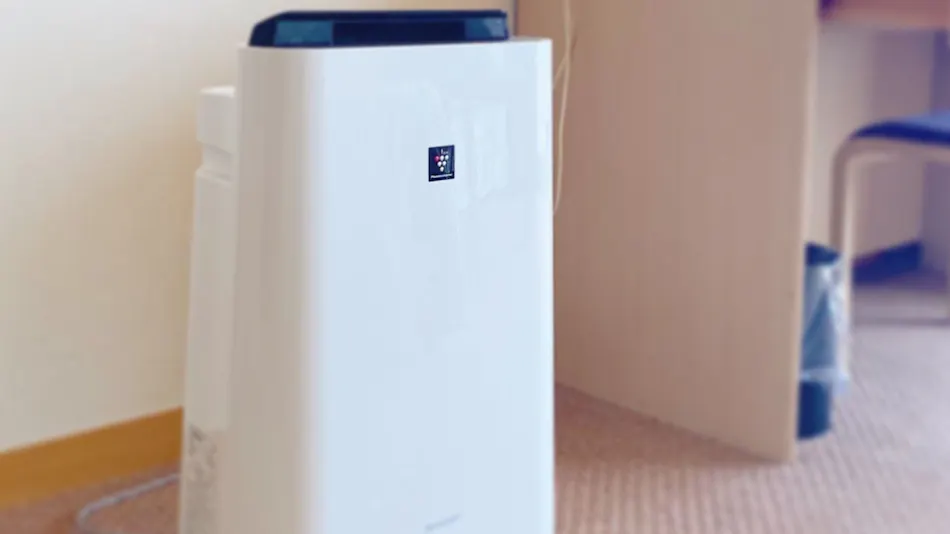 Hotel de Marronnier Utsumi Onsen