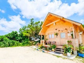 UMIOTO　log