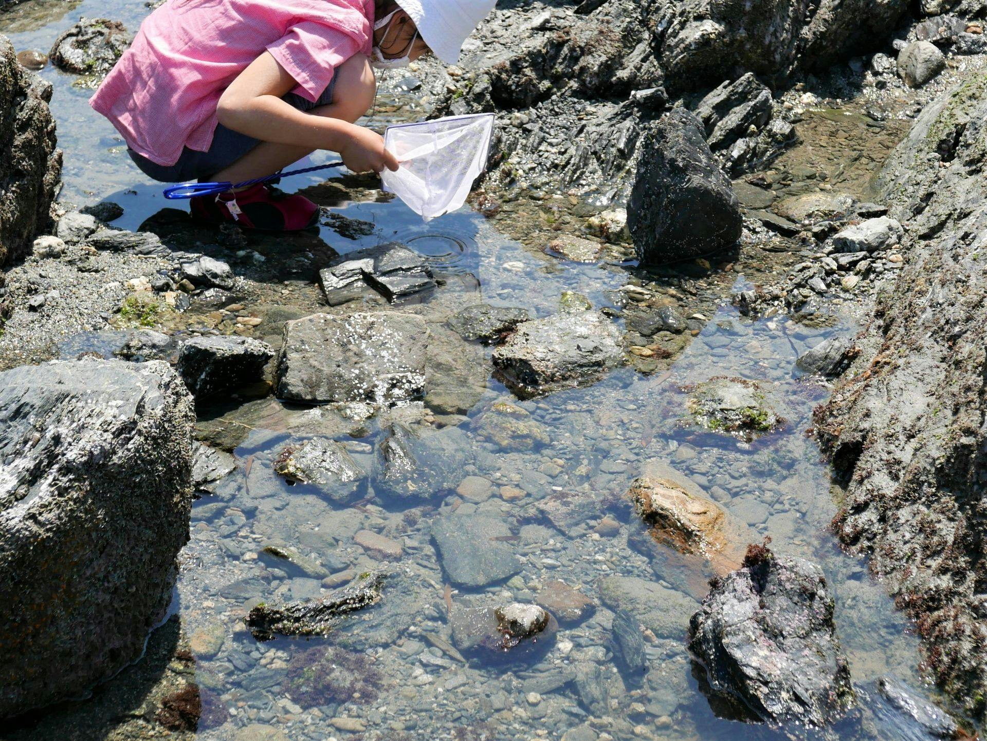 การเล่นน้ำทะเล