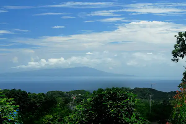 Semua kamar menawarkan pemandangan laut dengan Pulau Izu Oshima yang terlihat mengapung di kejauhan.