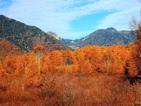 日光・鬼怒川 御宿 緑風苑