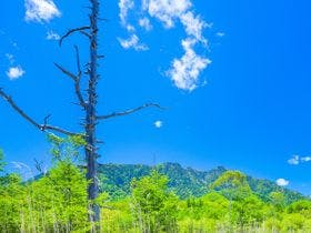 日光・鬼怒川 御宿 緑風苑