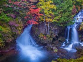 日光・鬼怒川 御宿 緑風苑