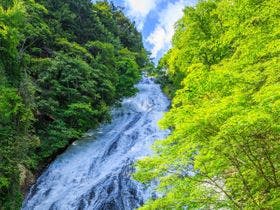 日光・鬼怒川 御宿 緑風苑