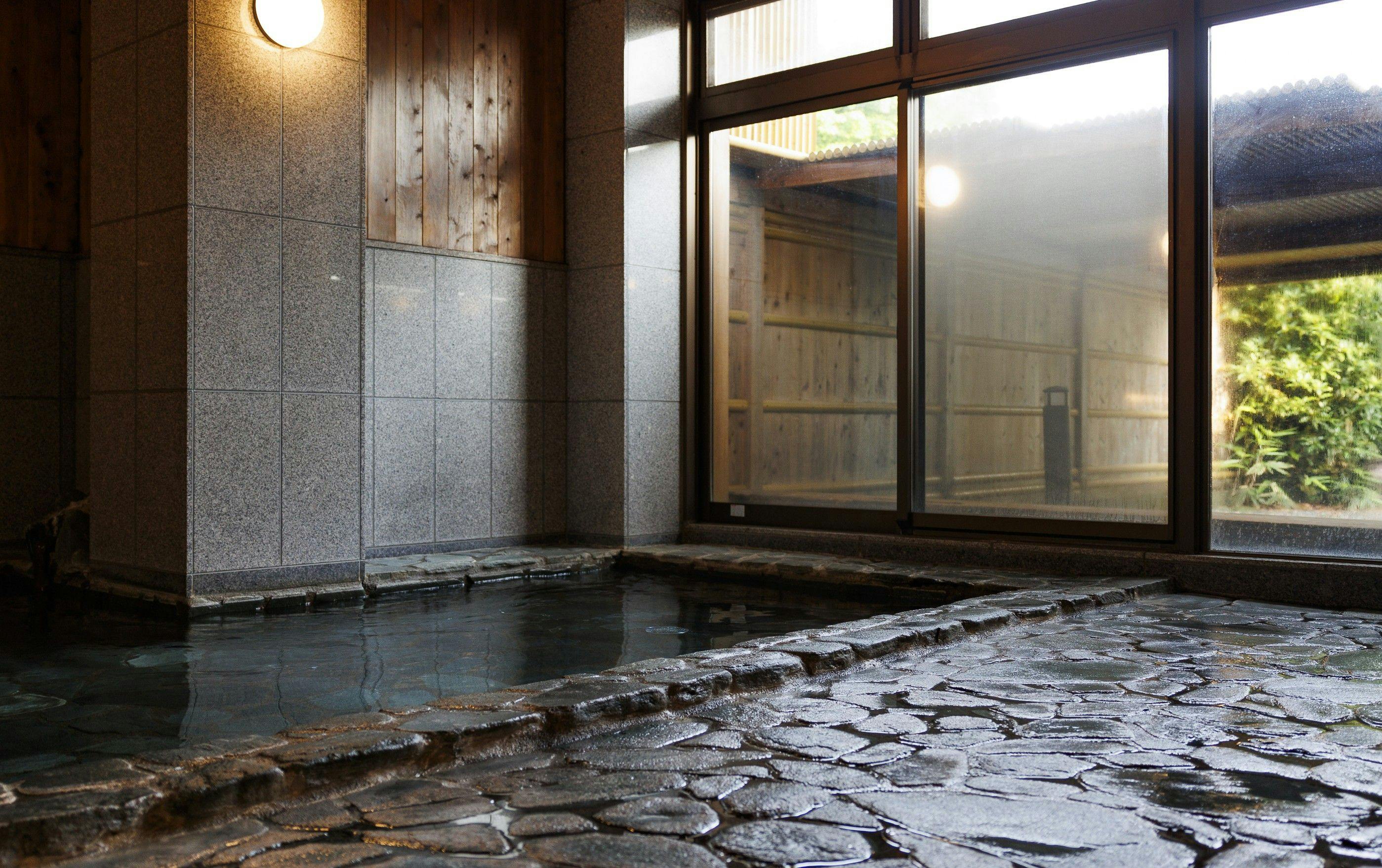 Winter Cherry Blossom Inn Kamiizumi