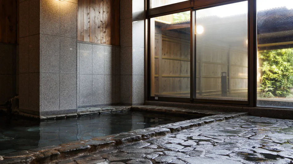 Winter Cherry Blossom Inn Kamiizumi