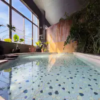 Women's Bath: Natural Onsen with High Moisturizing Effects*
