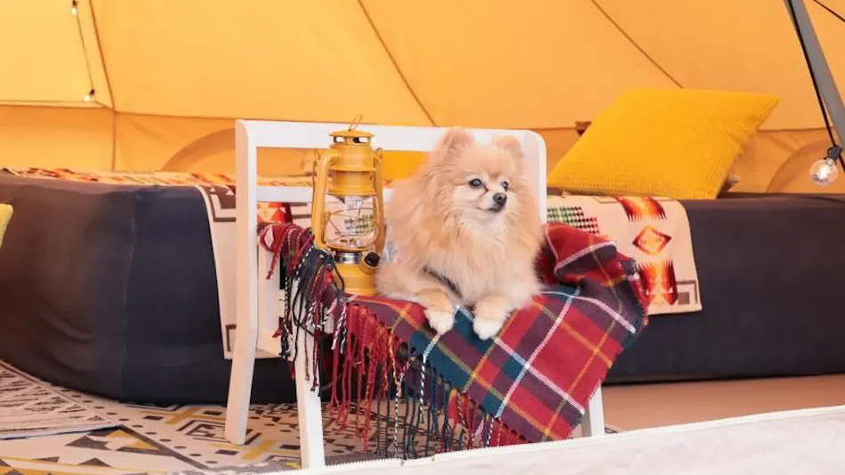 OKAYAMA GLAMPING SORANIA