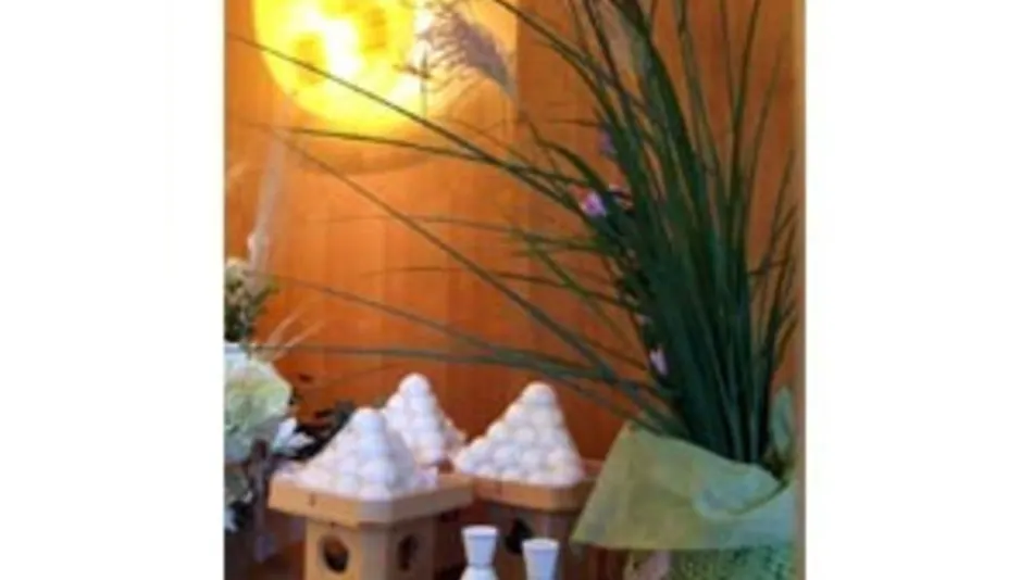 Romantic Inn "Moonlight Beauty"