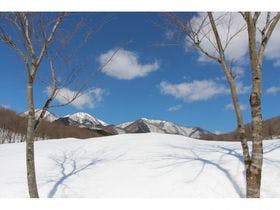蒜山高原だんだん村　ログコテージ村民の家　