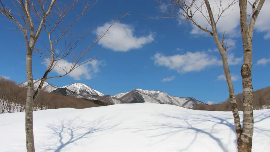 Hiruzen Plateau Dandan Village Log Cottage