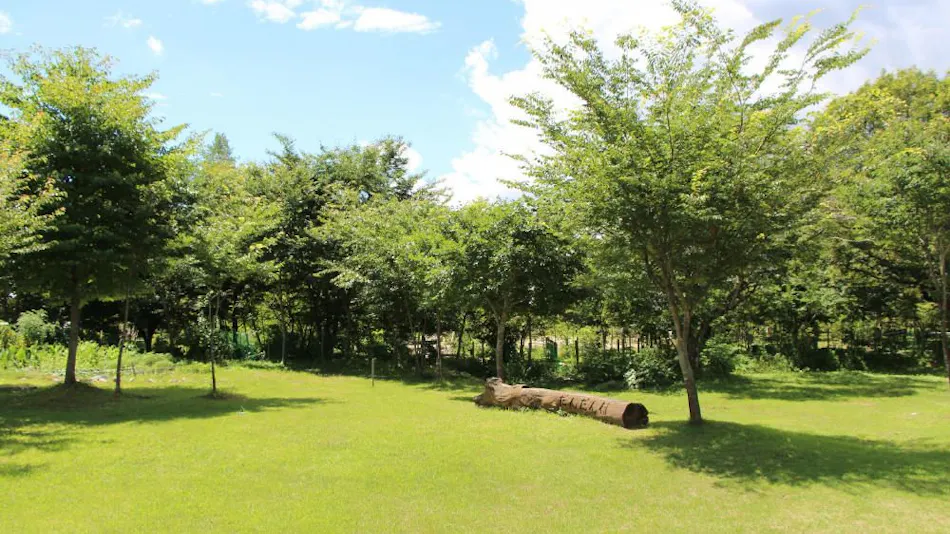 Hiruzen Plateau Dandan Village Log Cottage