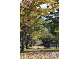 蒜山高原だんだん村　ログコテージ村民の家　