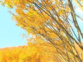 蒜山高原だんだん村　ログコテージ村民の家　