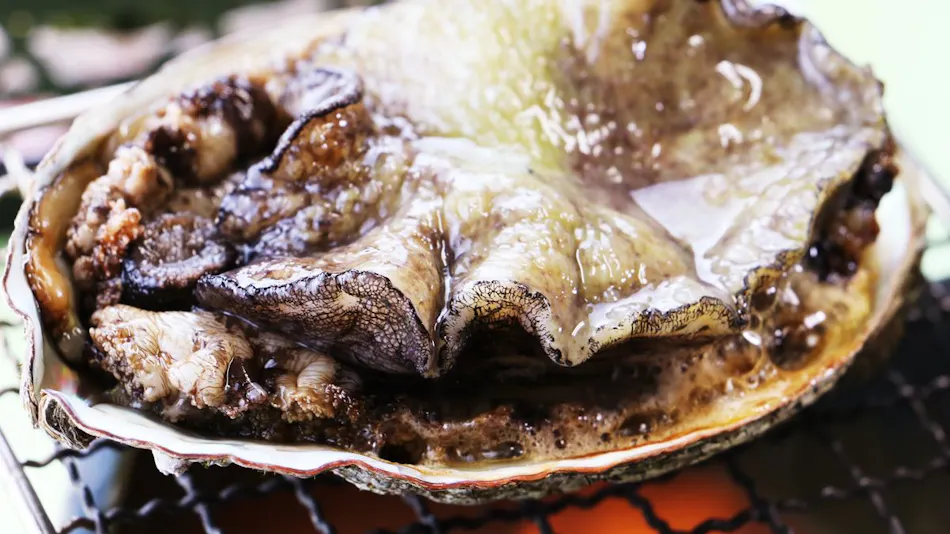 Minshuku Sakaya <Miyagi Prefecture>