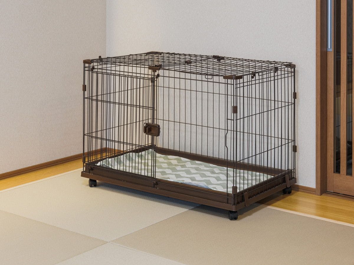 เกจสำหรับให้เช่า