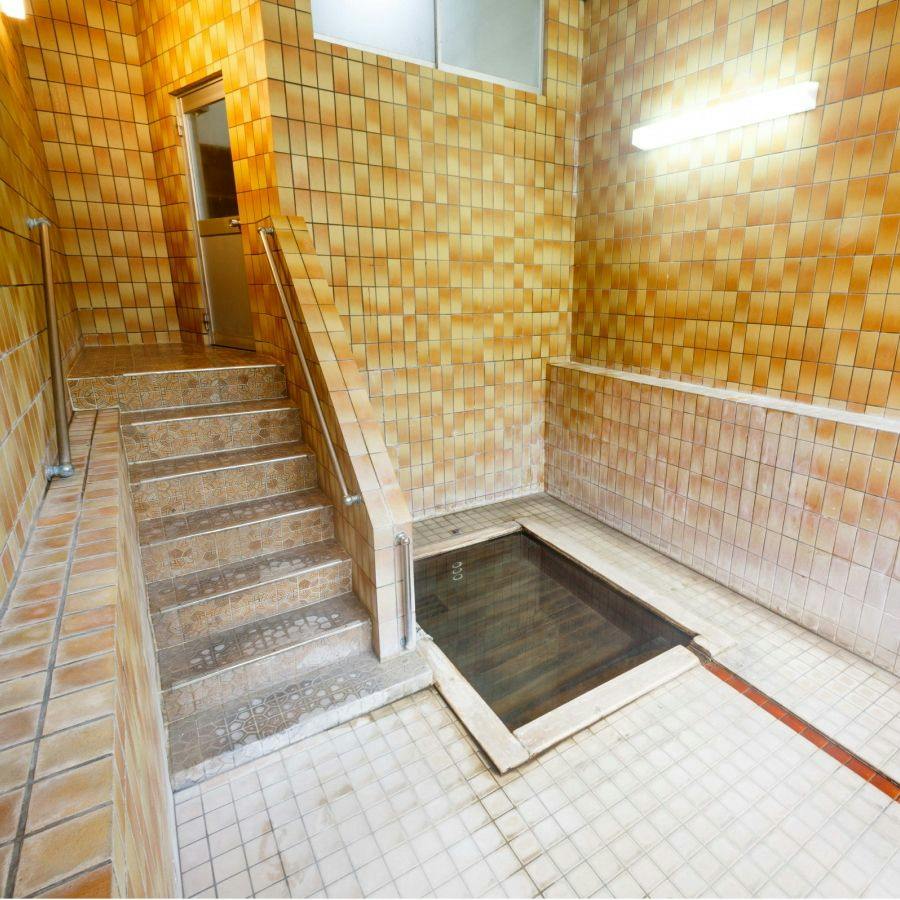 Yamaneya Ryokan
