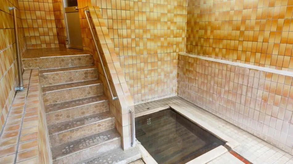 Yamaneya Ryokan