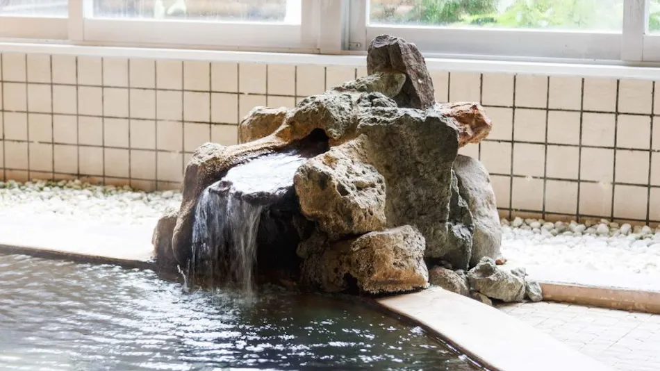 Yamaneya Ryokan