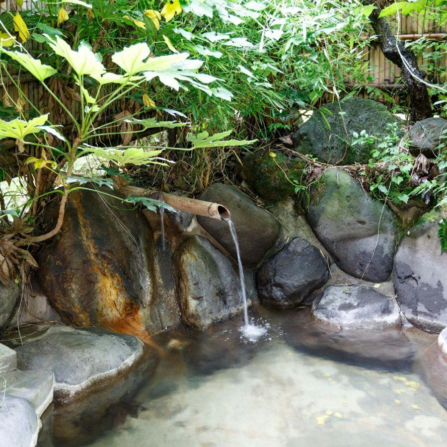 Yamaneya Ryokan