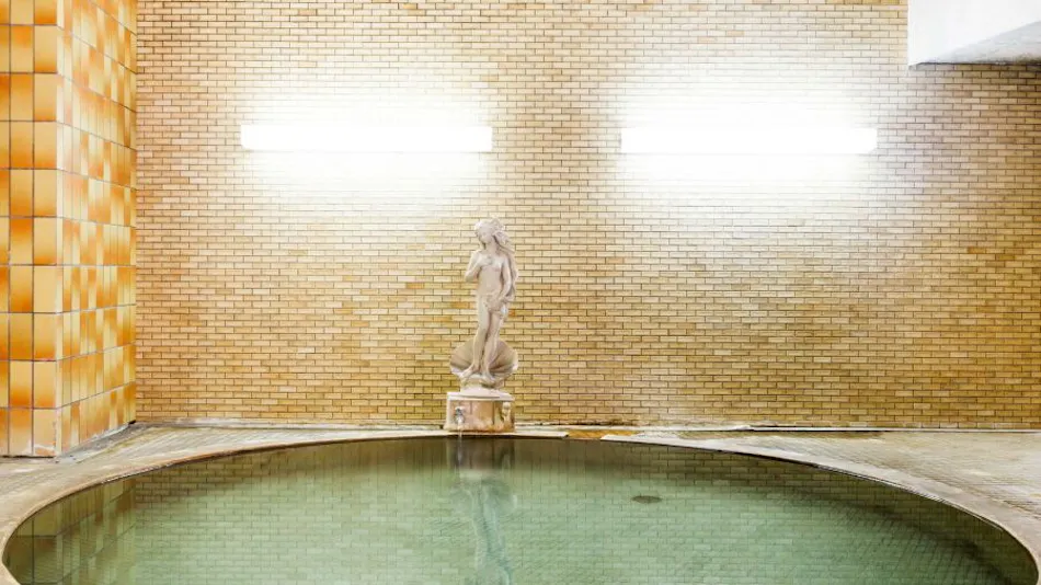 Yamaneya Ryokan
