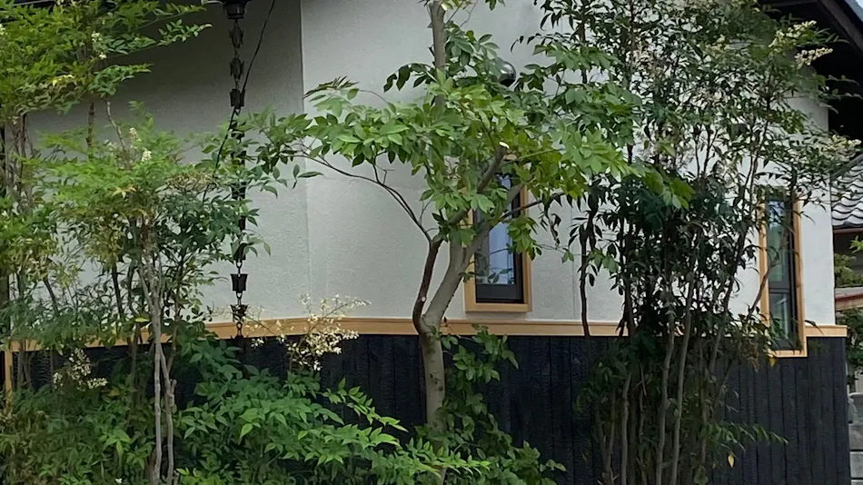 BELLEAMIE monde Kurashiki