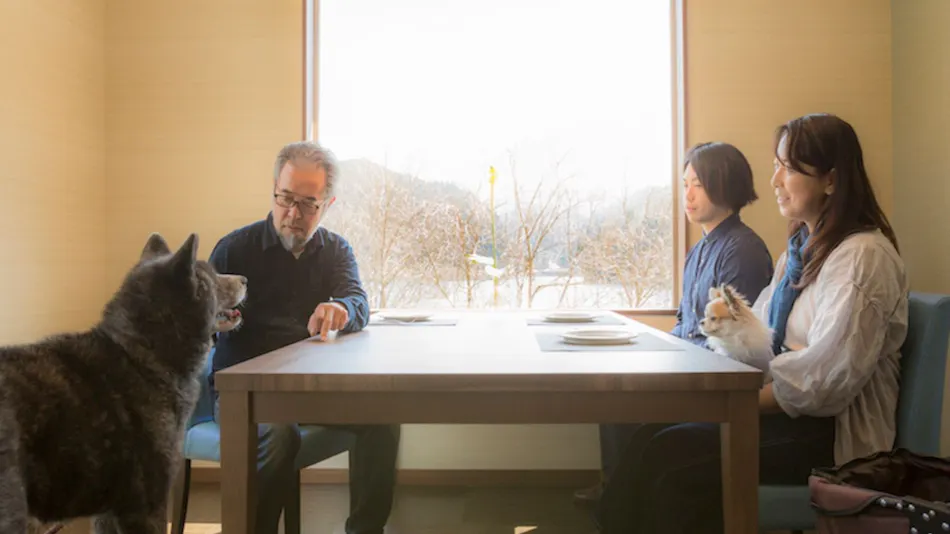 Shimo-Yubara Onsen Wanko-an: A Pet-Friendly Inn