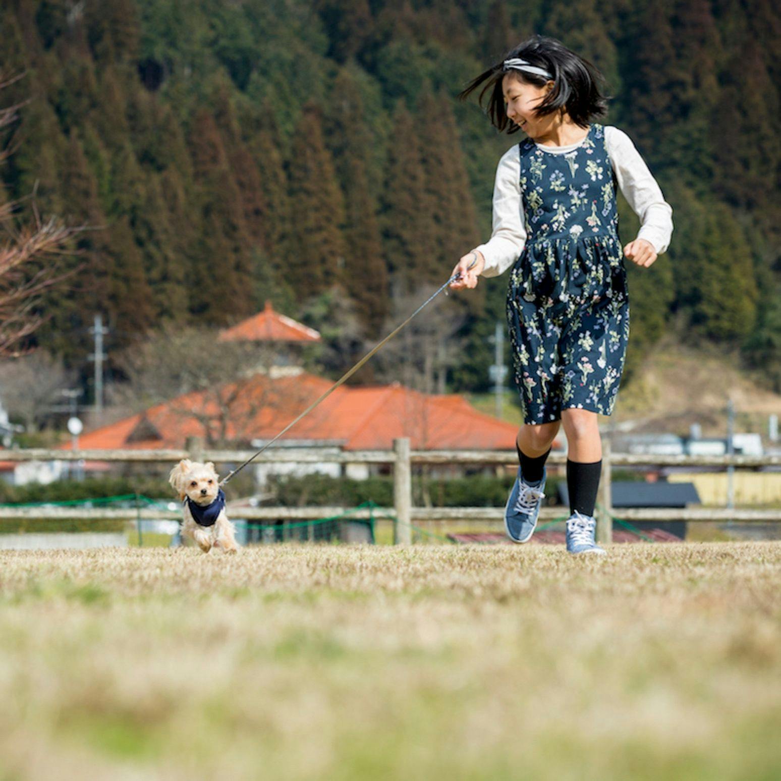 Shimo-Yubara Onsen Wanko-an: A Pet-Friendly Inn