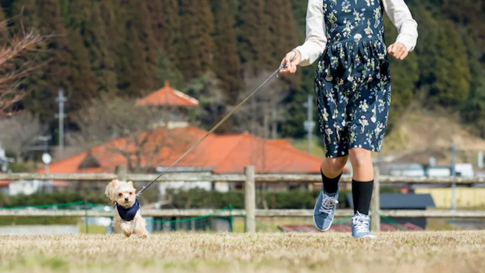 Shimo-Yubara Onsen Wanko-an: A Pet-Friendly Inn