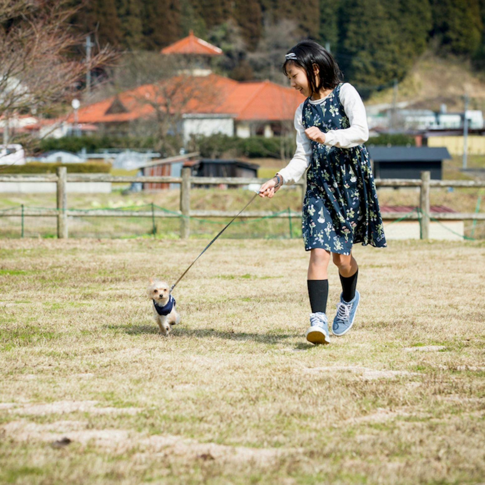 Shimo-Yubara Onsen Wanko-an: A Pet-Friendly Inn