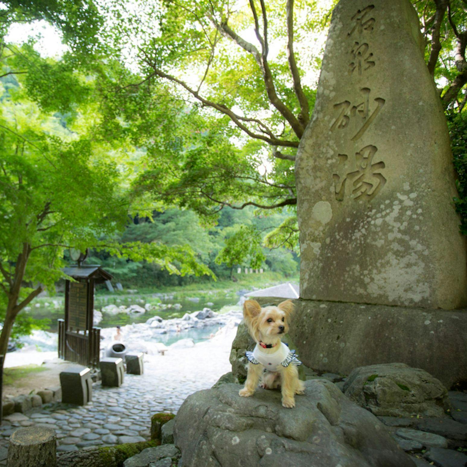 Shimo-Yubara Onsen Wanko-an: A Pet-Friendly Inn