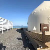 外观_Leaf